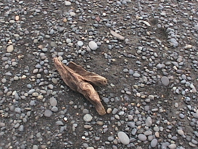 Seattle and Victoria