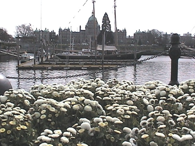 Seattle and Victoria