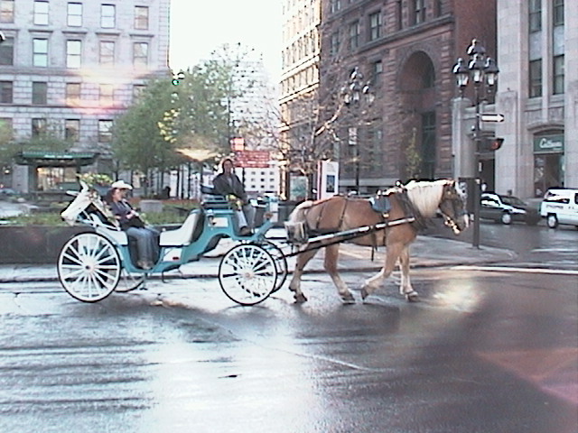 Notre-Dame, Montreal, Canada