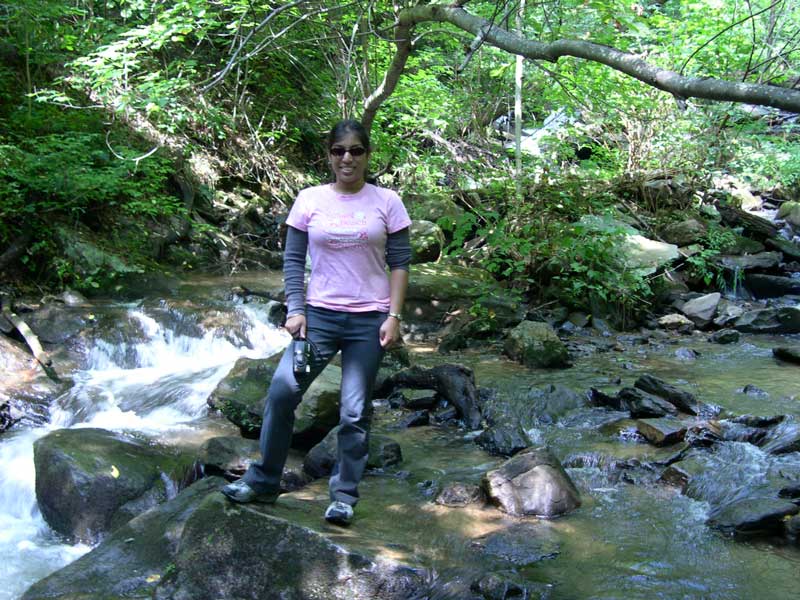 Amicolola Falls