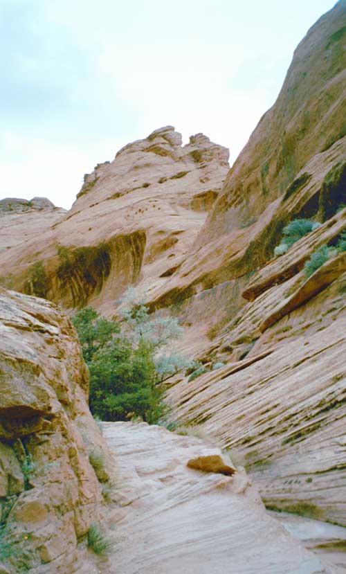 Canyon de Chelly, Arizona