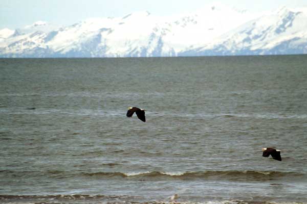 Ninilchik, Alaska